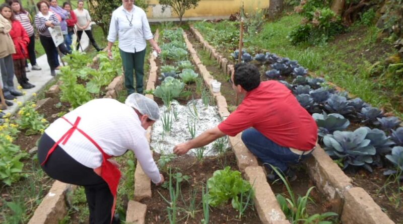 Técnico da Epagri repassou orientações para construção da horta