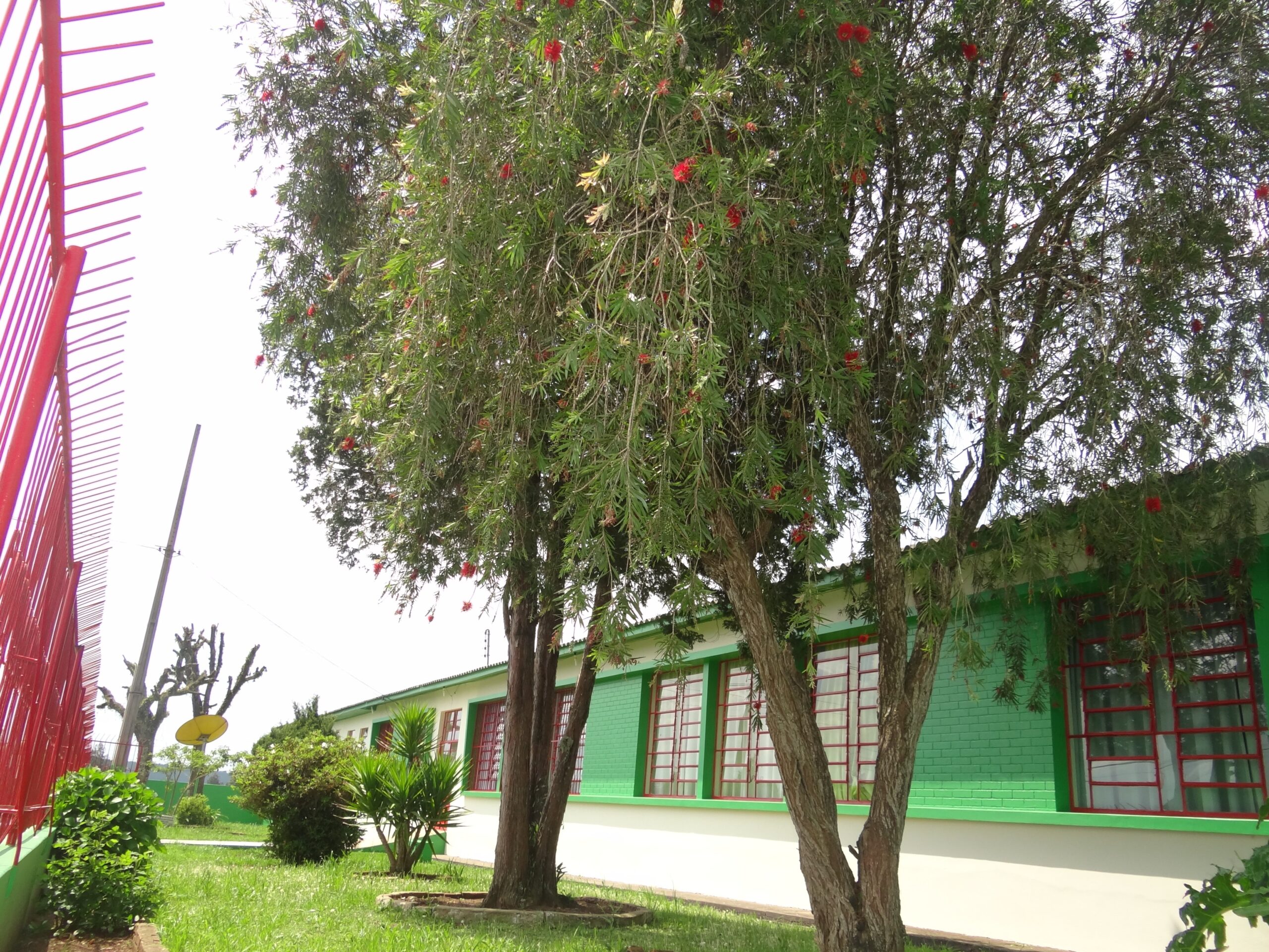 Na região, EEB Argeu Furtado foi uma das duas escolas selecionadas para oferecer o EMI